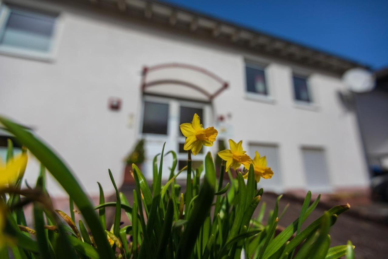 Haus Flora - Ferienwohnungen Cochem Exterior foto